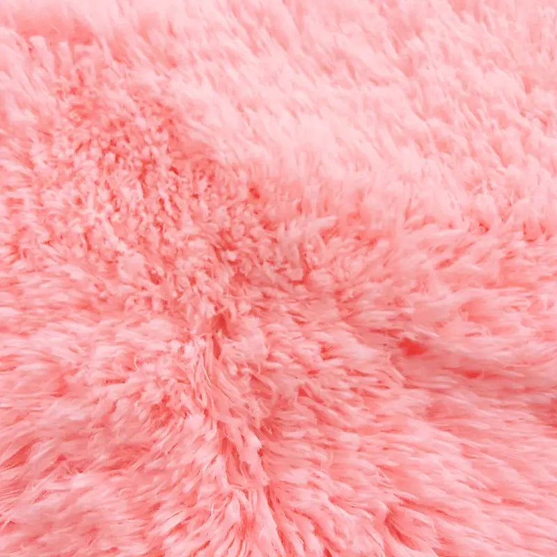 Soft Fluffy Nordic Area Rug for Living Room (1pc)