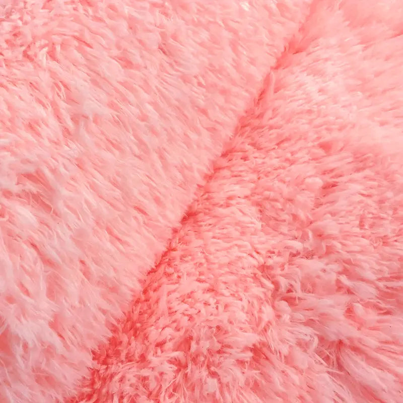 Soft Fluffy Nordic Area Rug for Living Room (1pc)